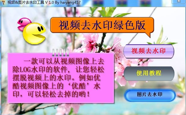 视频图片去水印工具