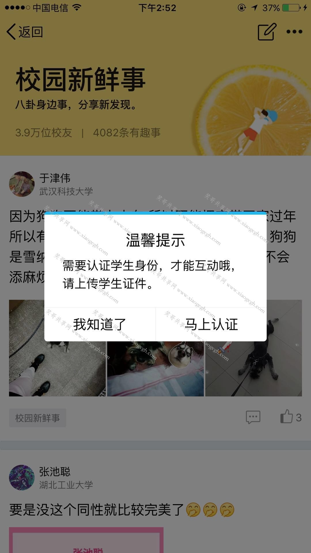 qq大学生认证