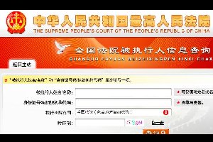 全国法院被执行人信息查询系统