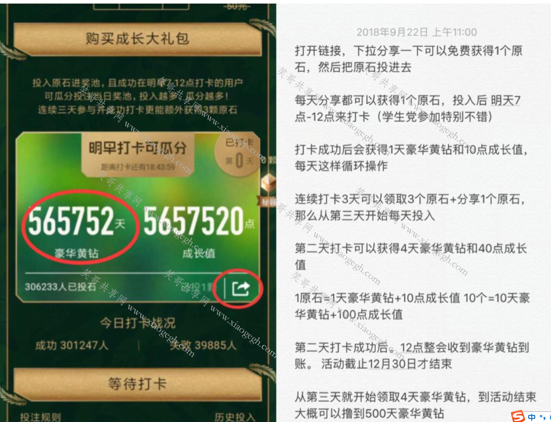 黄钻