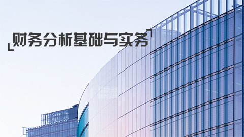 财务分析