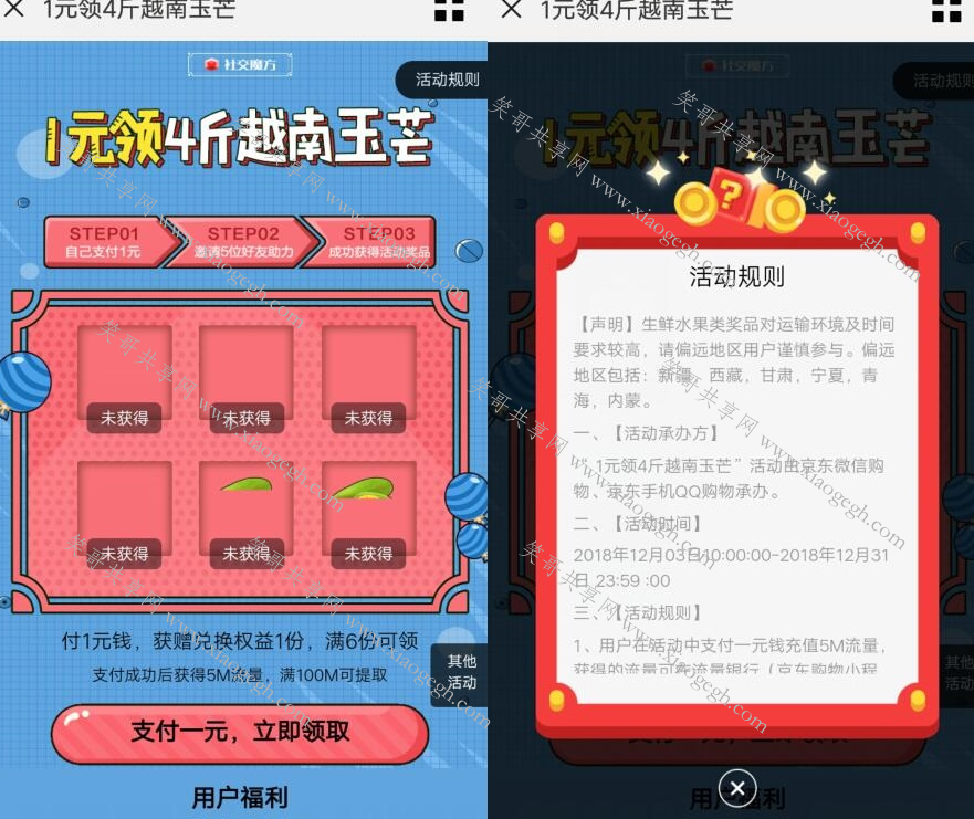 撸越南芒果