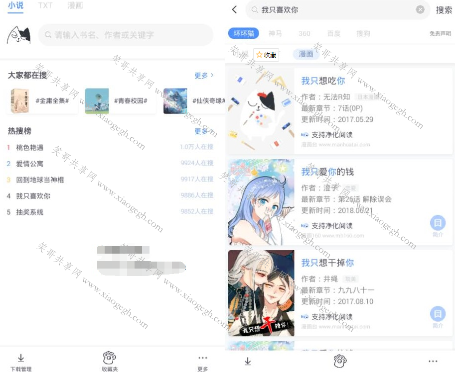 坏坏猫