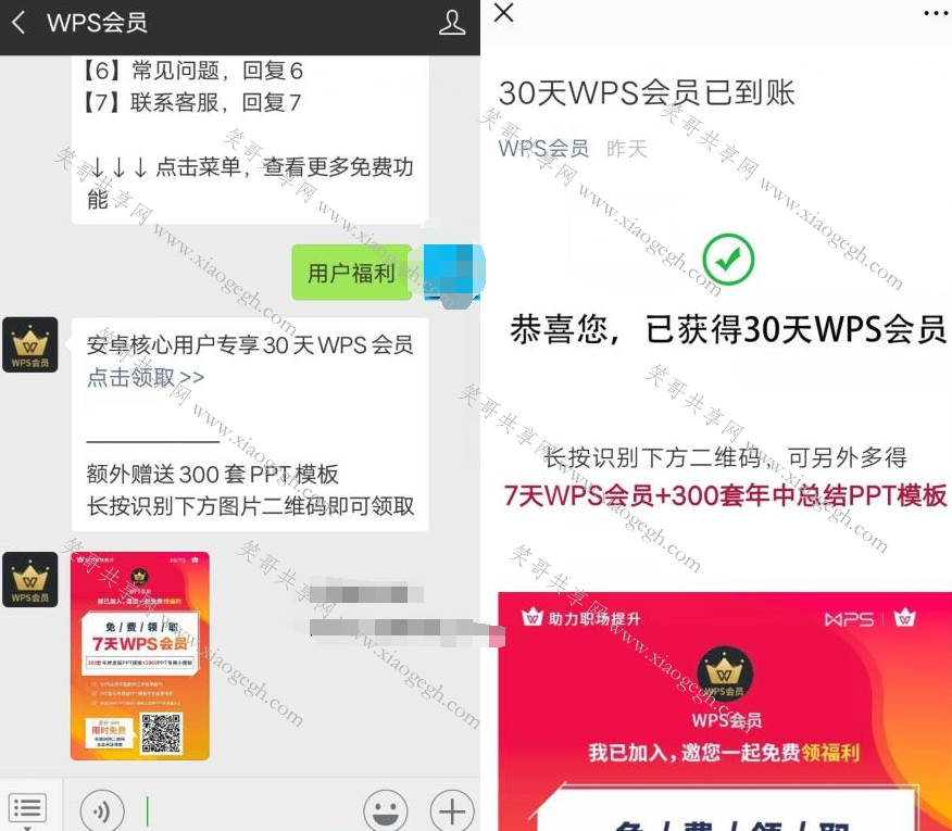 wps会员