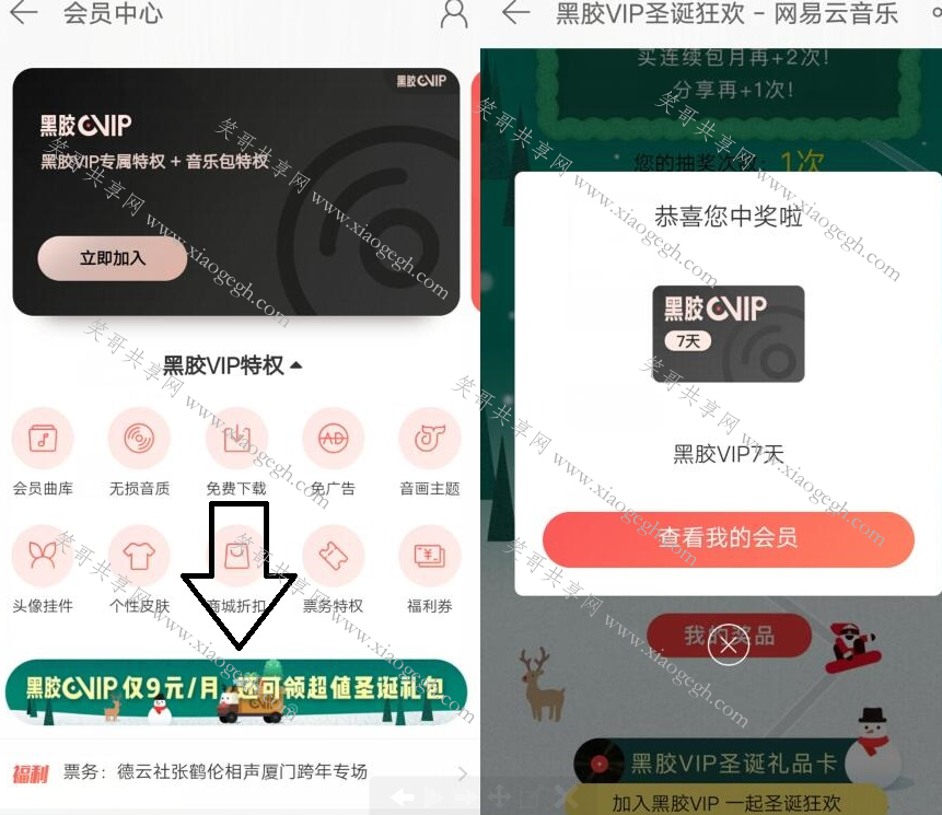 黑胶会员