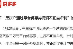 拼多多灰产团队薅羊毛已被告