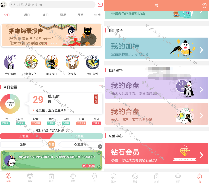 紫薇大师