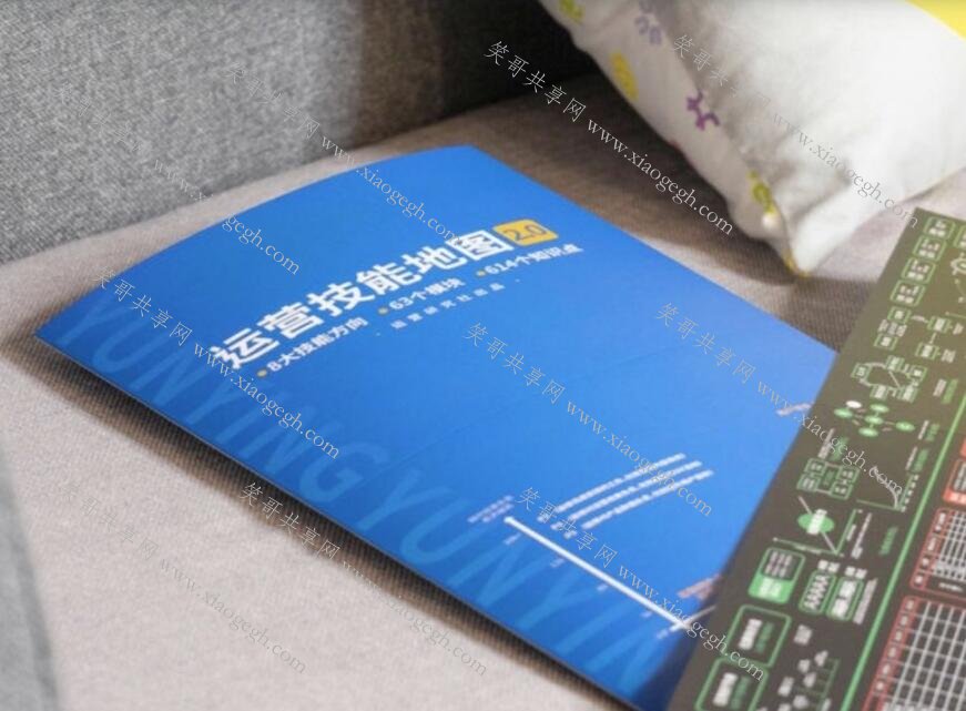 互联网运营