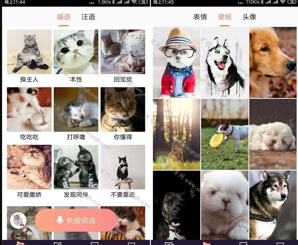 猫语翻译器