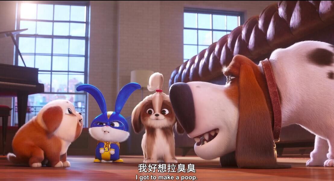 爱宠大机密