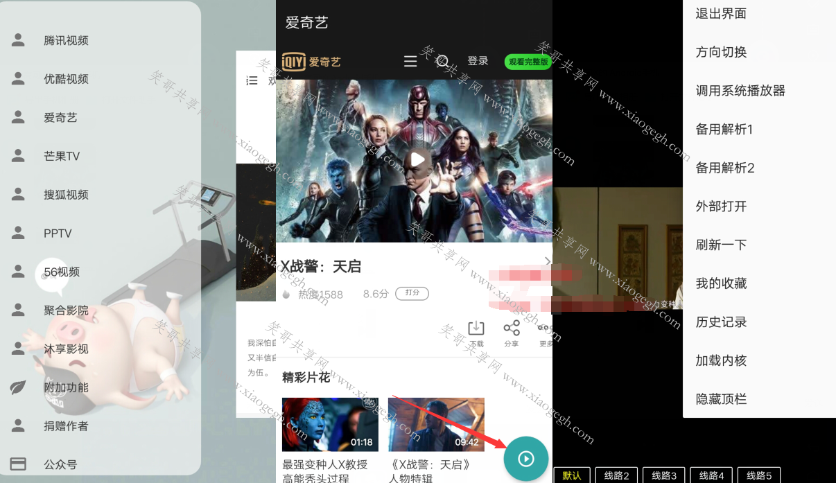 vip终结者