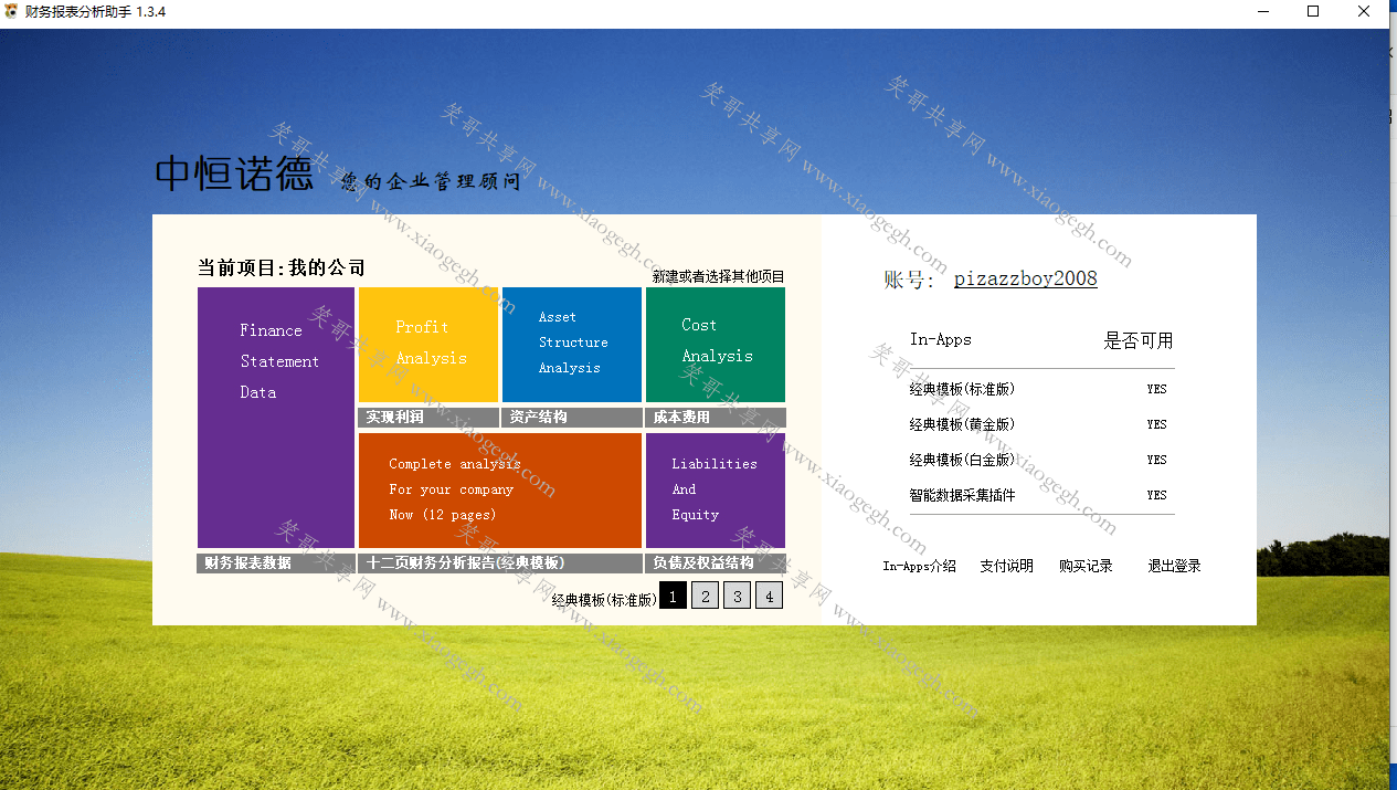 财务报表分析助手