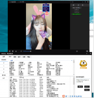 黑鸟播放器(BlackBird Player) v1.9.0绿色版