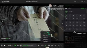 PC爱奇艺v9.5.157.5946绿色版